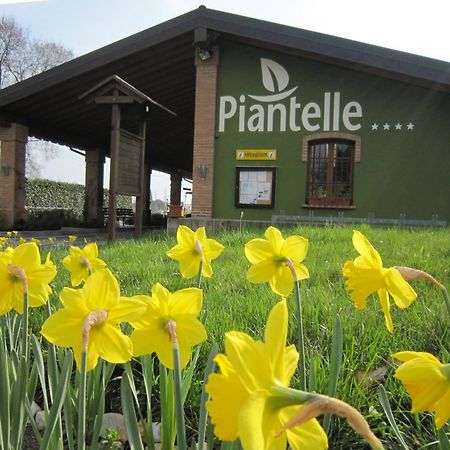 Camping Piantelle Moniga del Garda Extérieur photo